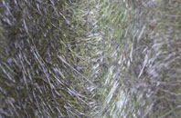 Longley Estate fibreglass roof work